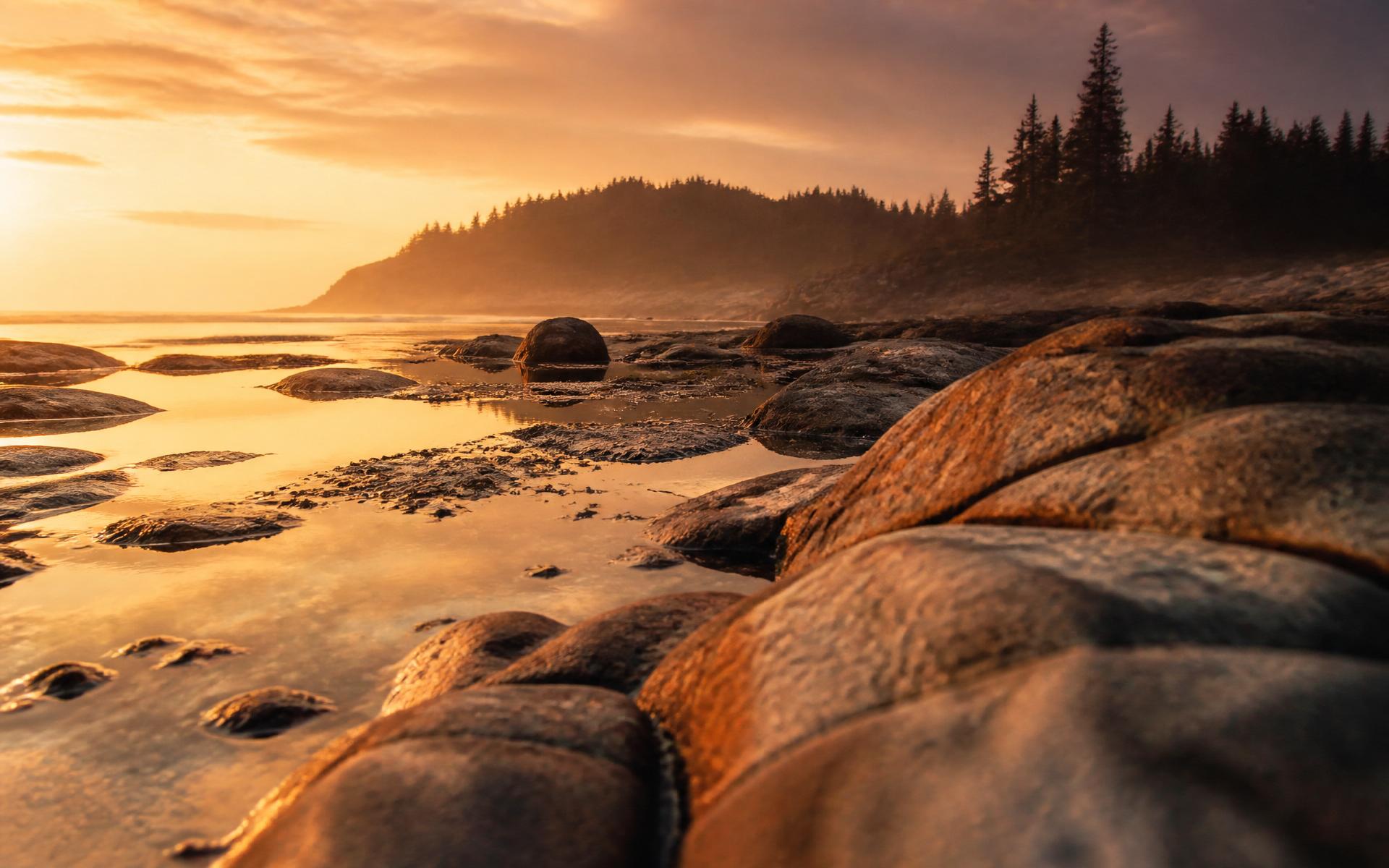 Rocky coastline at golden hour